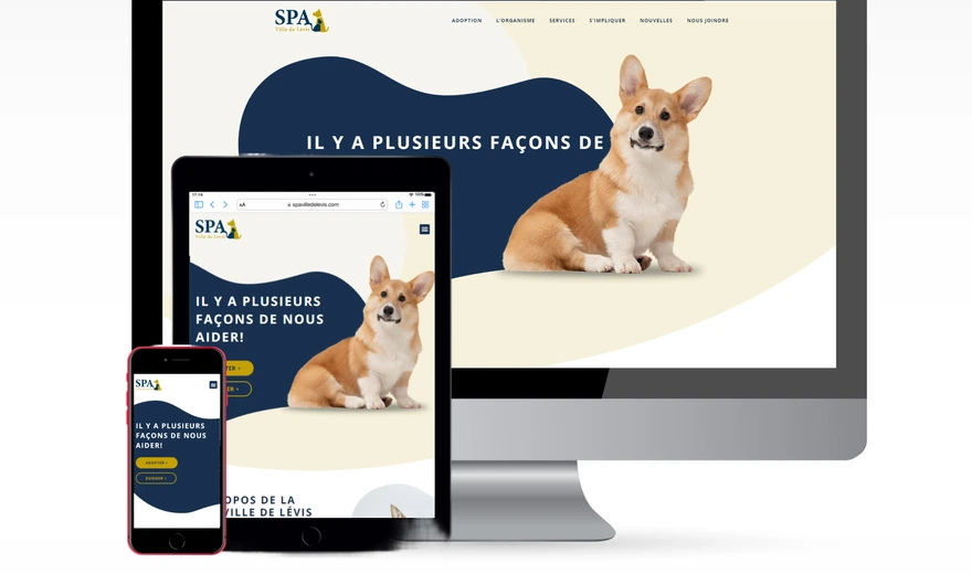 Collectif WEB