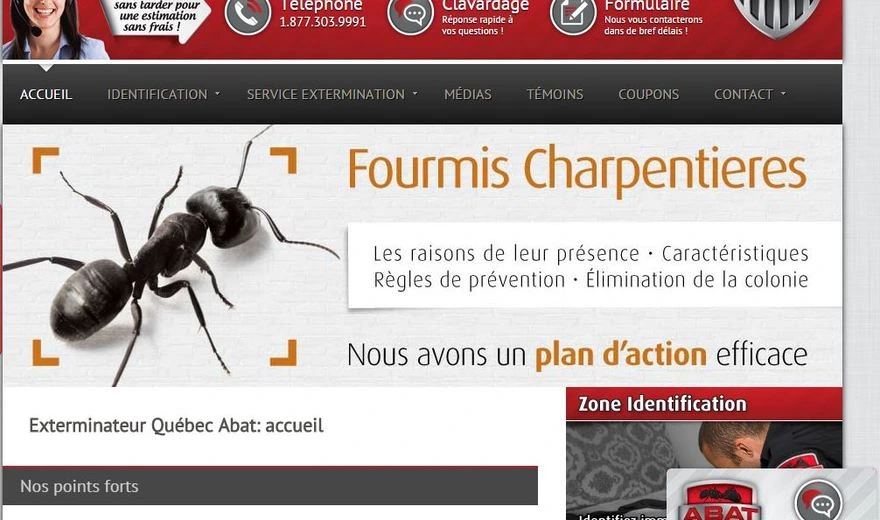 Référencement PME
